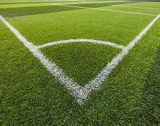 全红婵陈芋,汐包揽女子,双人,开元体育官网,开元棋牌品牌,开元体育精彩