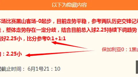冰岛队实力解析：欧洲劲旅对决阿根廷，不容错过的精彩对决